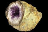 Purple Amethyst Geode - Uruguay #87453-2